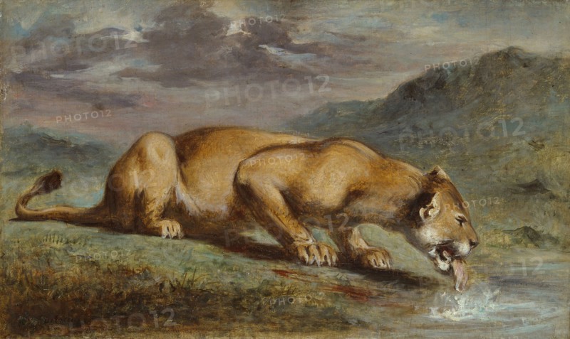 Wounded Lioness, 1840/50, Pierre Andrieu, French, 1821-1892, France, Oil on canvas, 33.4 × 56.3 cm (13 1/8 × 22 1/8 in.)