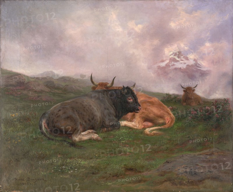 Cattle at Rest on a Hillside in the Alps, 1885, Rosa Bonheur, French, 1822-1899, France, Oil on canvas, 54.9 × 66.4 cm (21 5/8 × 26 1/8 in.)