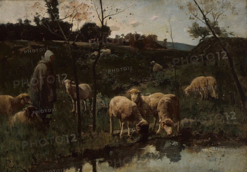 Landscape with Sheep, Picardy, late 19th century, Harry Thompson, British, died 1901, England, Oil on canvas, 82.2 × 117.5 cm (32 3/8 × 46 1/4 in.)
