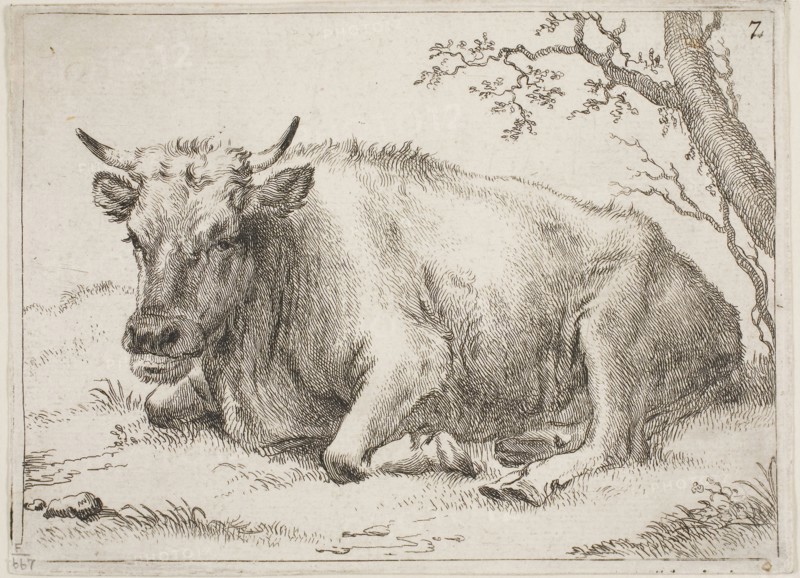 Cow Lying Down Beside a Tree, n.d., Paulus Potter, Dutch, 1625-1654, Holland, Etching on ivory laid paper, 100 x 138 mm (image), 105 x 144 mm (sheet)