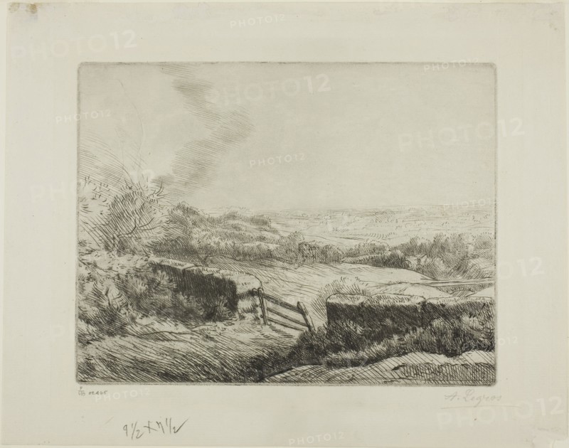 The Meadow Gate, c. 1885, Alphonse Legros, French, 1837-1911, France, Etching and drypoint on ivory laid paper, 167 × 206 mm (plate), 223 × 289 mm (sheet)