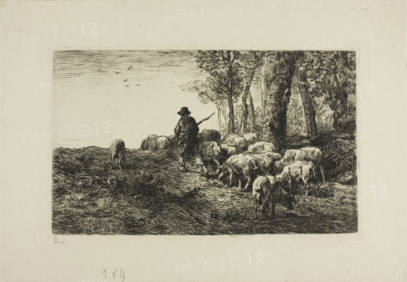 Man with Herd of Pigs, c. 1866, Charles Émile Jacque, French, 1813-1894, France, Etching and drypoint on paper, 155 × 257 mm (image), 159 × 262 mm (plate), 238 × 343 mm (sheet)