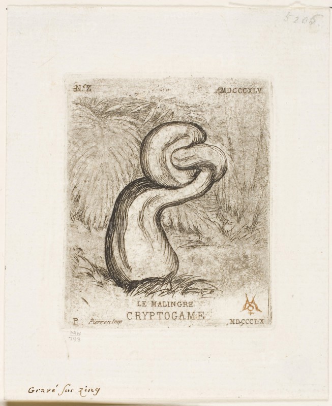 The Sickly Cryptogam, 1860, Charles Meryon (French, 1821-1868), printed by Pierron (French, 19th century), France, Etching, with plate tone, in black ink on ivory laid paper, printing à la poupée in red ink, 70 × 59 mm (image), 70 × 59 mm (plate), 109 × 90 mm (sheet)