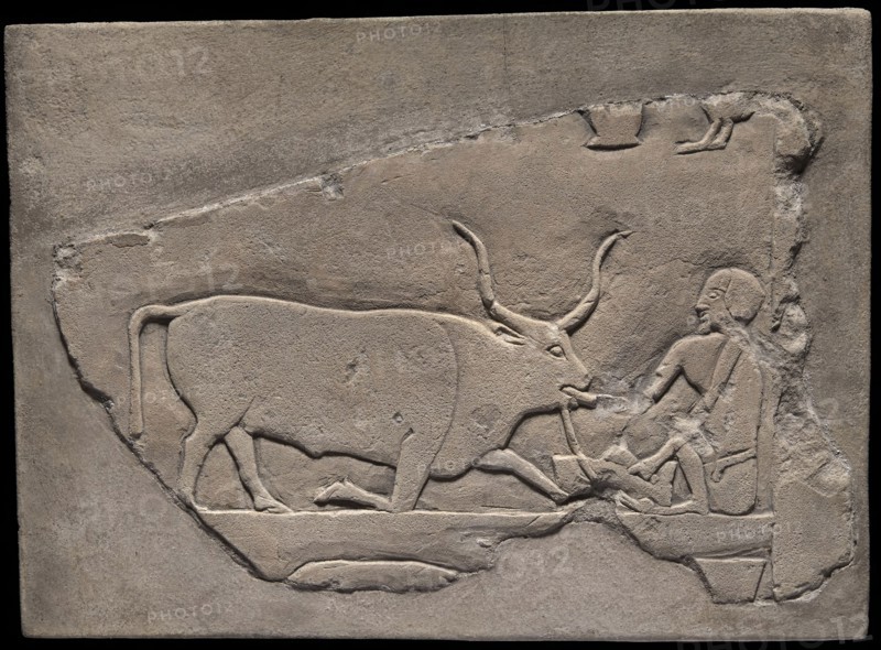 Wall Fragment from a Tomb Depicting a Herdsman, First Intermediate Period, Dynasties 9–10 (about 2060–2025 BC), Egyptian, Saqqara, Egypt, Limestone, 26.5 × 36 × 9 cm (10 7/16 × 14 3/16 × 3 1/2 in.)