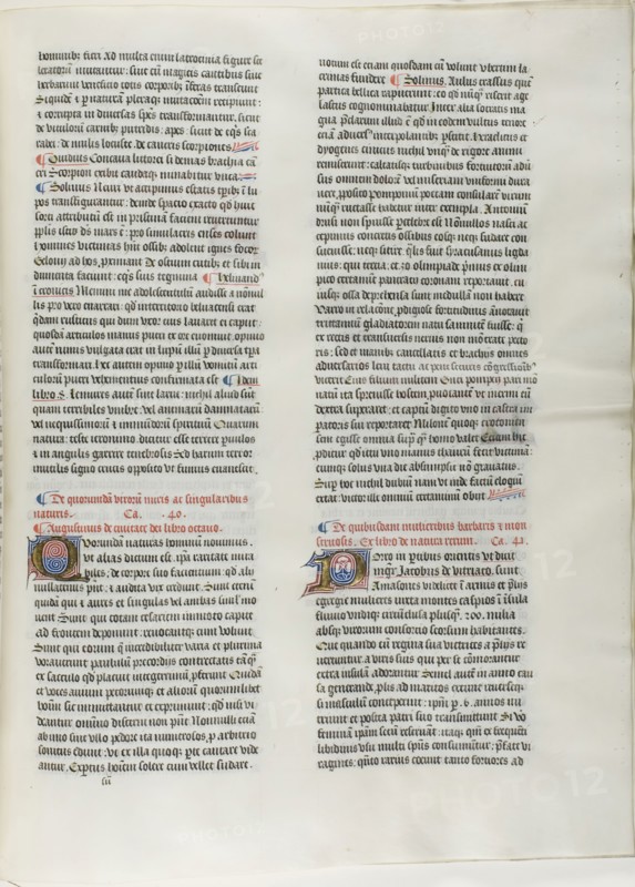 Folio Thirteen from Burchard of Sion’s De locis ac mirabilibus mundi, or an Illuminated Geography, c. 1460, French (Paris), written by Burchard of Mount Sion (German, active 13th century), France, Folio from a partial manuscript with decorated letters and other decorations in tempera and gold leaf, and with Latin inscriptions in black and brown ink, ruled in light brown ink, on vellum, 500 × 390 mm (average)