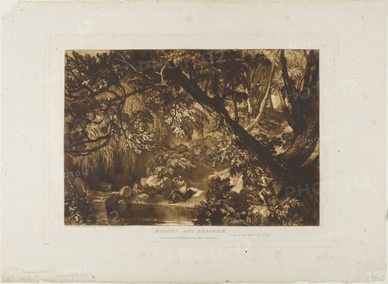 Aesacus and Hesperie, plate 66 from Liber Studiorum, published January 1, 1819, Joseph Mallord William Turner, English, 1775-1851, England, Etching and engraving in brown on ivory paper, 177 × 257 mm (image), 209 × 288 mm (plate), 283.5 × 388 mm (sheet)