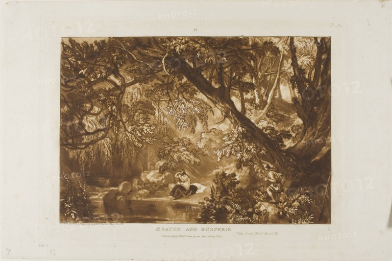 Aesacus and Hesperie, plate 66 from Liber Studiorum, published January 1, 1819, Joseph Mallord William Turner, English, 1775-1851, England, Etching and engraving in brown on off-white paper, 178 × 259 mm (image), 209 × 290 mm (plate), 248 × 373.5 mm (sheet)