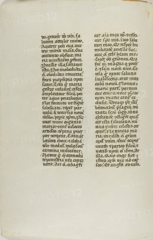 Illuminated Manuscript Leaf, c. 1450, Italian, Italy, Manuscript cutting with round gothic inscriptions in black, red and blue inks, and decorations in red and blue inks, on vellum, 162 x 117 mm
