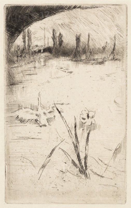 Sketch after Cecil Lawson’s Swan and Iris, 1882, James McNeill Whistler, American, 1834-1903, United States, Etching and drypoint with foul biting in black ink on cream Japanese paper, 135 x 84 mm (plate), 212 x 146 mm (sheet)