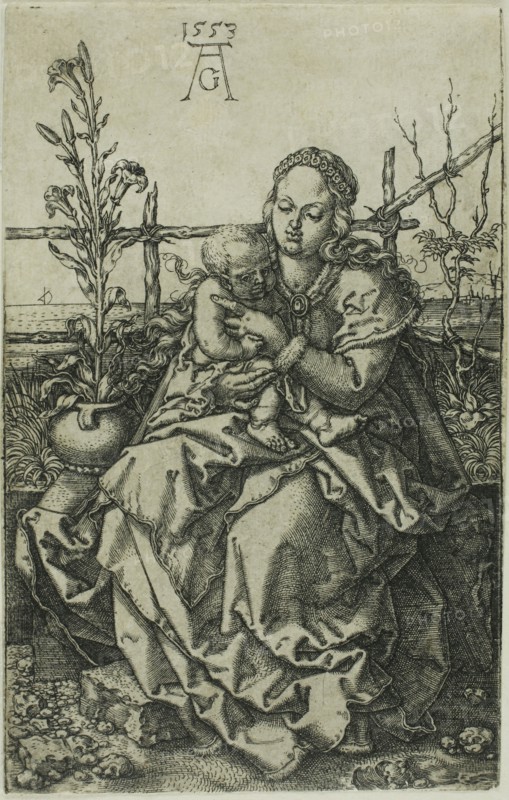 The Virgin and Child Seated on a Grassy Bank, 1553, Heinrich Aldegrever, German, 1502-c.1560, Germany, Engraving in black on ivory laid paper, 107 x 68 mm (image/plate/sheet)