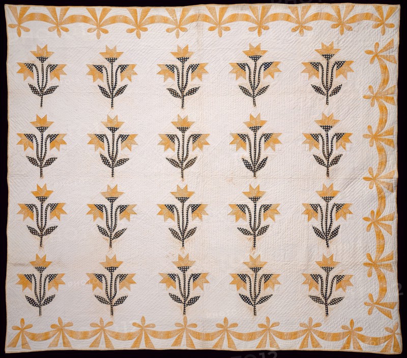 Bedcover (North Carolina Lily or Virginia Lily Quilt), c.1840, United States, 189.2 x 215.9 cm (74 1/2 x 85 in.)