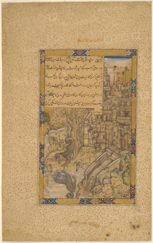 The Greedy Dog, Mughal period, late 16th century, India, Attributed to Farrukh Chela (active 1580-1604), India, Opaque watercolor and shell gold on paper, Image: 19.8 x 12.1 cm (7 13/16 x 4 3/4 in.), Outermost Border: 21.8 x 13.8 cm (8 9/16 x 5 7/16 in.), Paper: 33.4 x 20.8 cm (13 1/8 x 8 1/4 in.)
