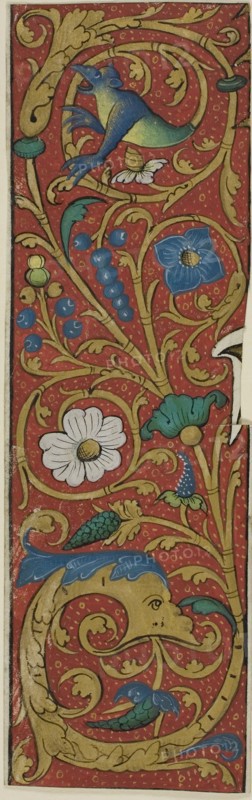 Illuminated Border with Grotesques and Flora from a Manuscript, 15th or early 16th century, French, France, Manuscript cutting in tempera and gold leaf on vellum, 181 × 57 mm