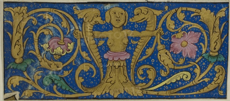 Illuminated Border with Grotesques and Flora from a Manuscript, 15th or early 16th century, French, France, Manuscript cutting in tempera and gold leaf on vellum, 58 × 129 mm