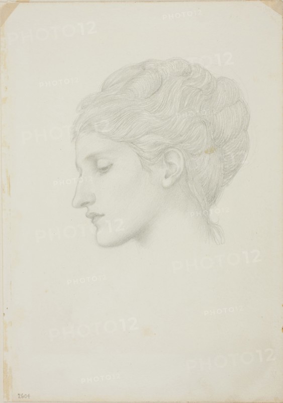Woman’s Head in Profile to Left, c. 1873–77, Sir Edward Burne-Jones, English, 1833-1898, England, Graphite on ivory wove paper, 253 × 178 mm