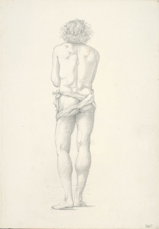 Back View of Standing Male Nude, c. 1873–77, Sir Edward Burne-Jones, English, 1833-1898, England, Graphite on ivory wove paper, 253 × 178 mm