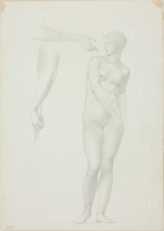 Standing Female Nude and Sketches of Arms, c. 1873–77, Sir Edward Burne-Jones, English, 1833-1898, England, Graphite on ivory wove paper, 254 × 178 mm