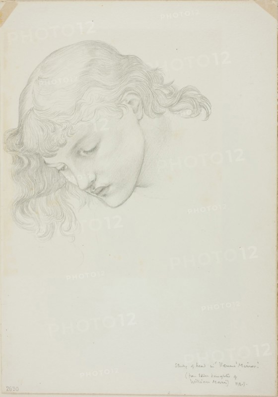 Head, Study for Mirror of Venus, c. 1873–77, Sir Edward Burne-Jones, English, 1833-1898, England, Graphite on ivory wove paper, 253 × 178 mm