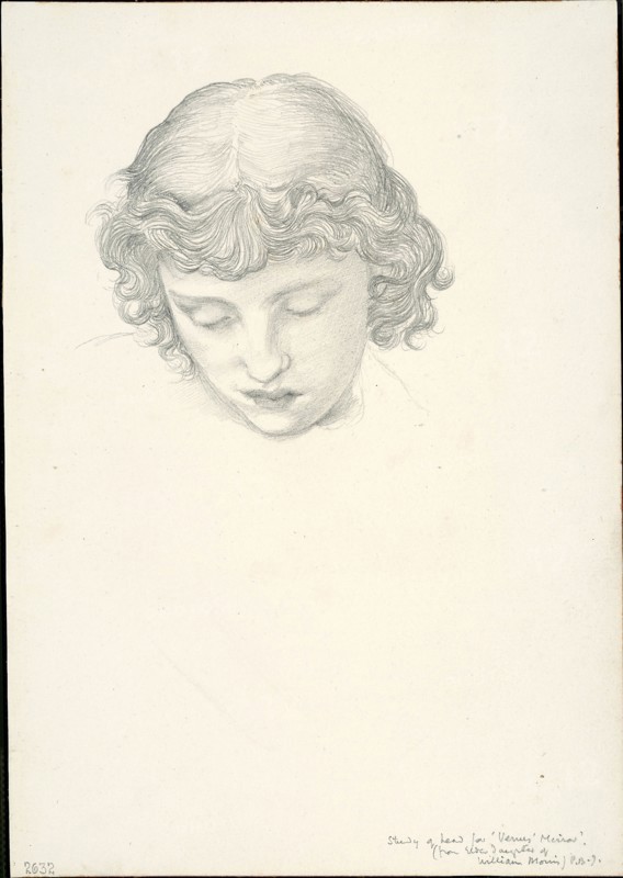 Study for Mirror of Venus: Head, c. 1873–77, Sir Edward Burne-Jones, English, 1833-1898, England, Graphite on ivory wove paper, 254 × 178 mm