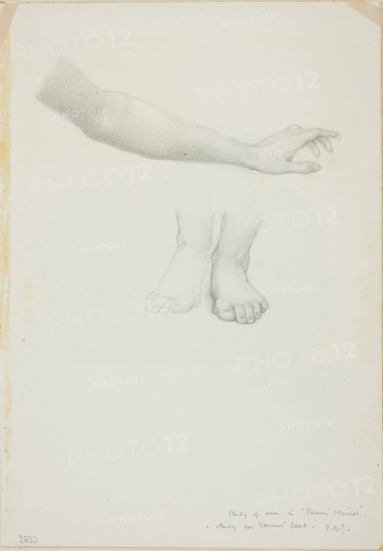 Arm and Feet, study for Mirror of Venus, c. 1873–77, Sir Edward Burne-Jones, English, 1833-1898, England, Graphite on ivory wove paper, 254 × 178 mm