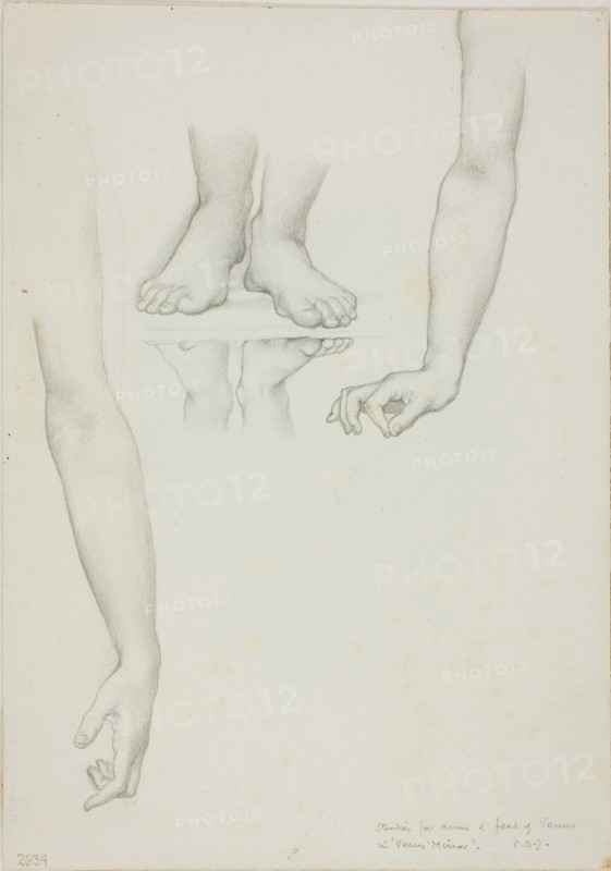 Study for Mirror of Venus: Arms and Feet of Venus, c. 1873–77, Sir Edward Burne-Jones, English, 1833-1898, England, Graphite on ivory wove paper, 253 × 178 mm