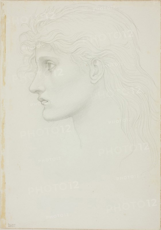 Head of Girl Facing Left, c. 1873–77, Sir Edward Burne-Jones, English, 1833-1898, England, Graphite on ivory wove paper, 253 × 178 mm