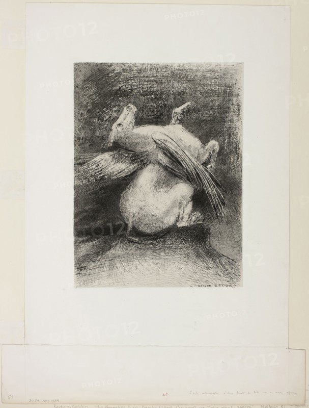 The Impotent Wing Did Not Lift the Animal Into That Black Space, plate 7 of 8 from Les Origines, 1883, Odilon Redon, French, 1840-1916, France, Lithograph in black on light gray China paper, laid down on white wove paper, 295 × 222 mm (image/chine), 522 × 345 mm (sheet)