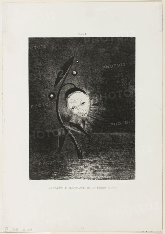 The Marsh Flower, a Sad Human Head, plate 2 of 6, 1885, Odilon Redon, French, 1840-1916, France, Lithograph in black on ivory China paper laid down on ivory wove paper, 272 × 202 mm (image/chine), 441 × 306 mm (sheet)