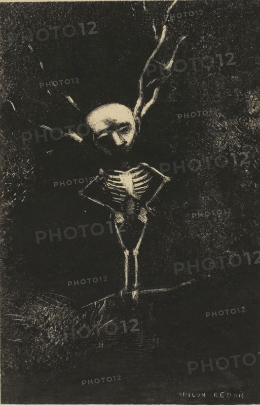 In the Maze of Branches, the Pale Figure Appeared, plate 2 of 7, 1887, Odilon Redon, French, 1840-1916, France, Lithograph in black on cream Japanese paper, 153 × 99 mm (image), 267 × 234 mm (sheet)