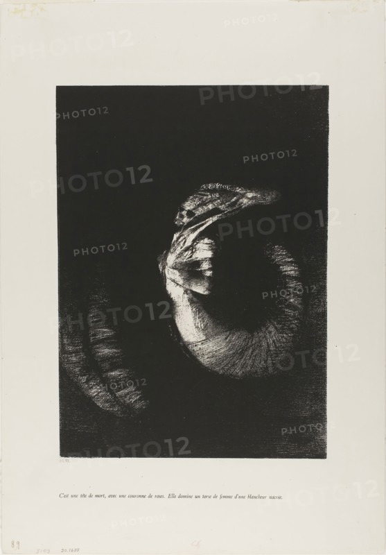 It is a Skull Wreathed in Roses…, 1888, Odilon Redon, French, 1840-1916, France, Transfer lithograph on mounted ivory China paper, 297 × 217 mm