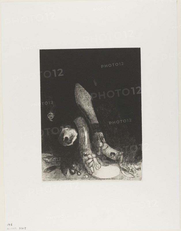 Flowers Fall and the Head of a Python Appears, plate 5 of 24, 1896, Odilon Redon, French, 1840-1916, France, Lithograph in black on cream China paper laid down on ivory wove paper, 259 × 198 mm (image), 263 × 199 mm (chine), 450 × 346 mm (sheet)