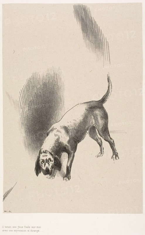 He [The Narrator’s Dog] Kept His Eyes Fixed on Me With a Look So Strange, plate 3 of 6, 1896, Odilon Redon, French, 1840-1916, France, Lithograph in black on light gray China paper laid down on ivory wove paper, 228 × 153 mm (chine), 423 × 316 mm (sheet)