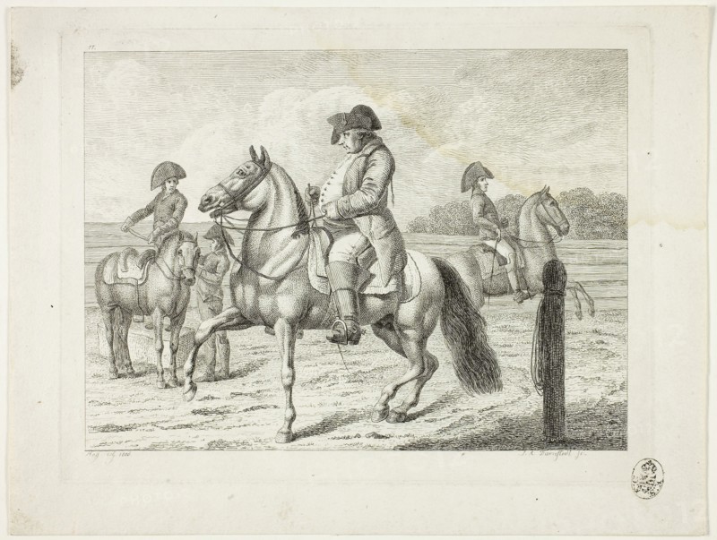 Riding School and Horses, 1806, Johann Adolph Darnstedt, German, 1769-1844, Germany, Etching on ivory wove paper, 138 × 181 mm (image), 150 × 204 mm (plate), 183 × 240 mm (sheet)