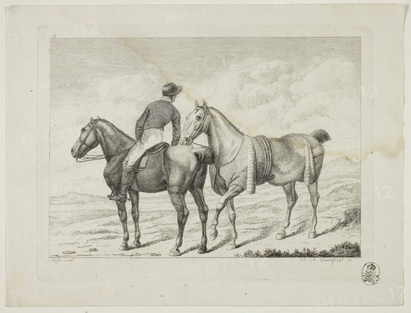 Riding School and Horses, 1806, Johann Adolph Darnstedt, German, 1769-1844, Germany, Etching on ivory wove paper, 134 × 188 mm (image), 154 × 202 mm (plate), 182 × 240 mm (sheet)