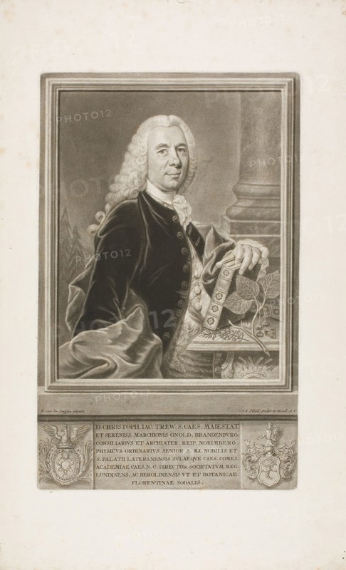 D. Christopher Jacob Trew, from Plantae Selectae, n.d., Johann Jacob Haid (German, 1704-1767), after Dominicus van der Smissen (German, 1704-1760), Germany, Mezzotint on paper, 312 x 194 mm (plate), 428 x 265 mm (sheet)
