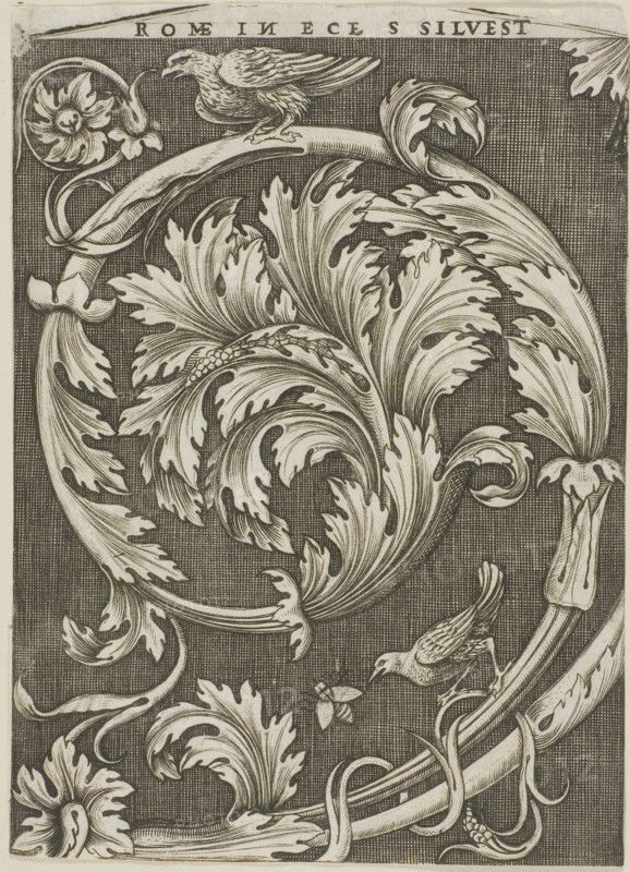 Foliage Ornament from Ancient Roman Church, c. 1530–35, Agostino dei Musi, Italian, c. 1490-after 1536, Italy, Engraving in black on ivory laid paper, 179 x 128 mm (image/sheet, trimmed to and within plate mark)