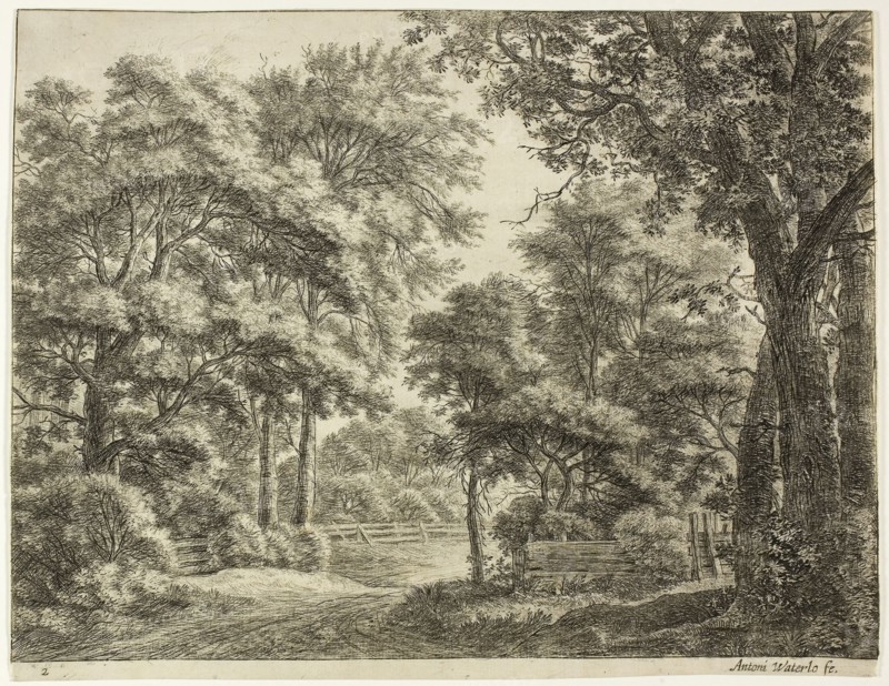 The Parts of the Wood Newly Cut, n.d., Anthoni Waterlo, Dutch, 1609-1690, Holland, Etching on paper, 214 x 284 mm (image), 222 x 285 mm (sheet)