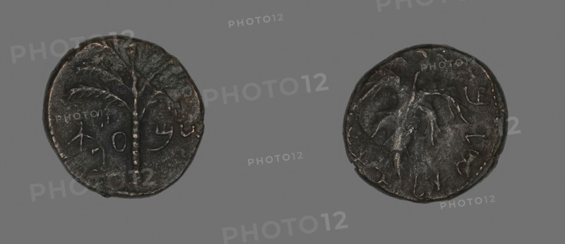 Coin Depicting a Palm Tree, AD 133/135, Roman, Roman Empire, Bronze, Diam. 2.5 cm, 12.16 g