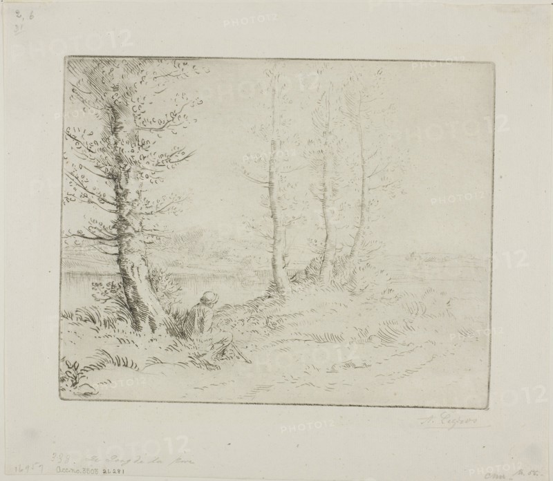 Along the Riverbank, c. 1885, Alphonse Legros, French, 1837-1911, France, Etching and drypoint on ivory laid paper, 175 × 215 mm (plate), 239 × 271 mm (sheet)