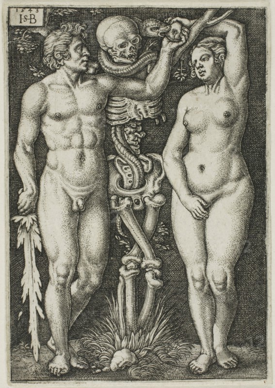 Adam and Eve, 1543, Sebald Beham (German, 1500-1550), after Barthel Beham (German, 1502-1540), Germany, Engraving in black on ivory laid paper, 82 x 57 mm (image/plate), 84 x 58 mm (sheet)