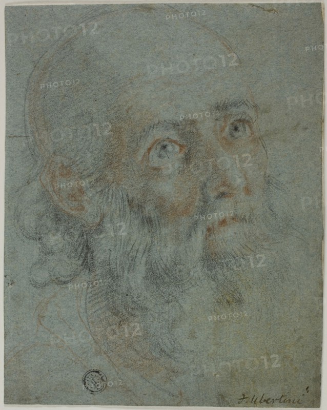 Head of a Bearded Man, Looking Up to Right: Study for Saint Catherine of Alexandria Disputing with the Pagan Priests, c. 1603, Ludovico Cardi, called Il Cigoli (Italian, 1559-161, or follower of Federico Barocci (Italian, c. 1535-1612), Italy, Red and black chalk, heightened with touches of white chalk, on blue laid paper, laid down on cream laid card, 165 x 130 mm