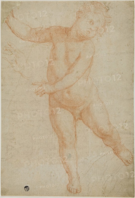 Putto Poised on Right Leg (recto), Sketch of a Draped Arm (verso), 1575/1600, Domenico Cresti, called Passignano, Italian, 1559-1638, Italy, Red chalk on cream laid paper (recto), partially laid down and tipped onto tan wove card, 375 x 257 mm