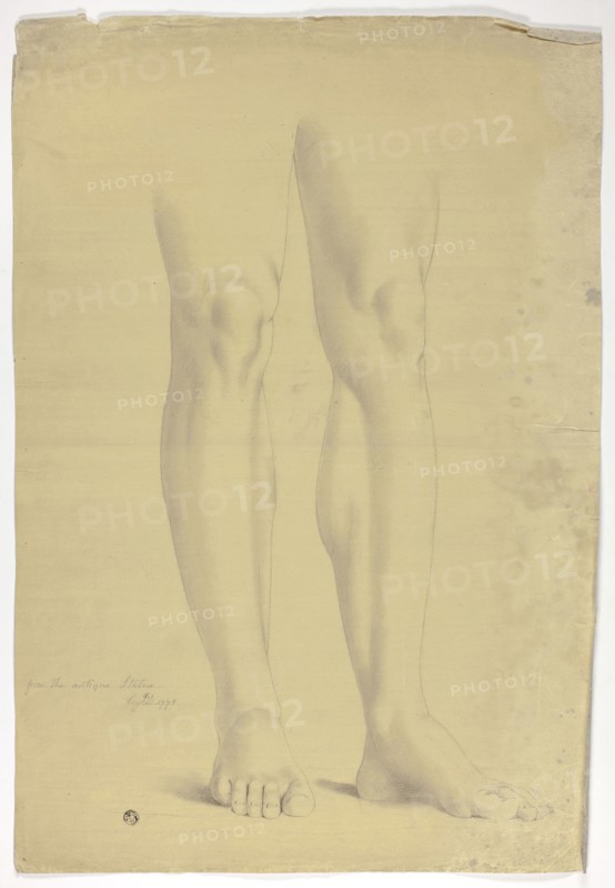 Legs after Antique Statue of Standing Figure, 1775, John Downman, English, 1750-1824, England, Charcoal with stumping, heightened with touches  of white chalk, on cream laid paper prepared with a tan ground, 538 × 370 mm, Shawl, c. 1850, Scotland, Paisley, Paisley, 161.3 x 340.4 cm (63 1/2 x 134 in.)
