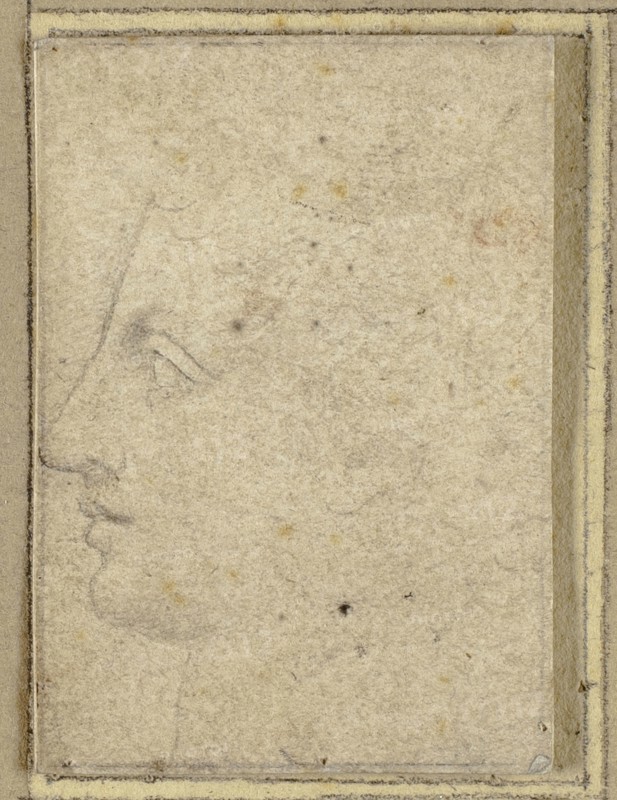 Head of a Youth in Profile to Left, n.d., Unknown Artist, Italian, early 16th century, Italy, Black chalk on buff laid paper, tipped on to card, 41 x 29 mm