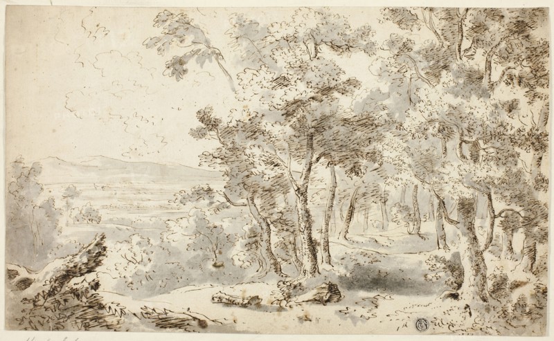 Forest, Valley and Distant Hills, n.d., Karl Schutz, Austrian, 1745-1800, Austria, Pen and brown ink, with brush and gray wash, on  cream laid paper, tipped onto ivory laid paper, 237 × 391 mm