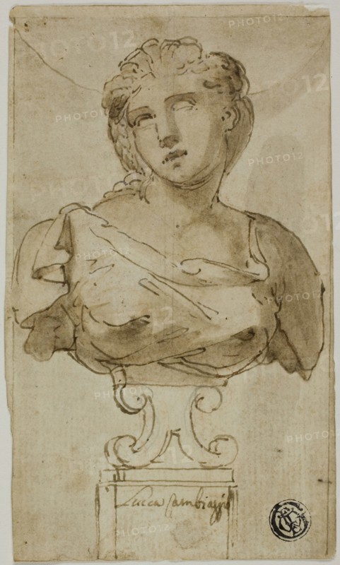 Bust of a Woman, 1555-1565, Attributed to Luca Cambiaso, Italian, 1527-1585, Italy, Pen and brown ink with brush and brown wash, heightened with lead white, over traces of graphite, on ivory laid paper, laid down on ivory laid paper, 137 x 80 mm