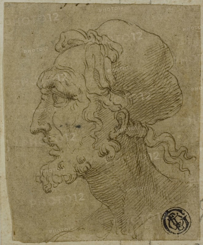 Male Head in Profile, n.d., Attributed to Baldassare Peruzzi, Italian, 1481-1536, Italy, Pen and brown ink over traces of graphite, on tan laid paper, laid down on ivory laid paper, 85 x 69 mm (max.)