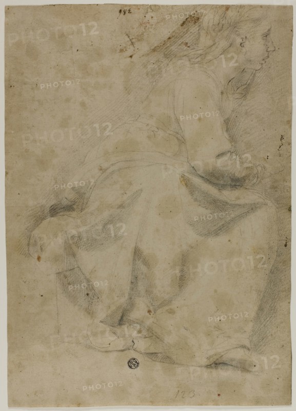 Seated Woman in Profile to Right, n.d., Possibly Domenico Fiasella, Italian, 1589-1669, Italy, Black chalk on tan laid paper, laid down on gray laid paper, 357 x 256 mm