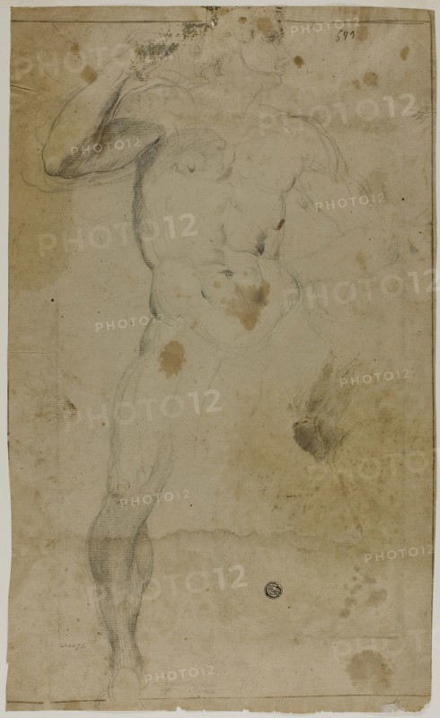 Standing Male Nude (recto), Two Half Length Male Figures, One with Raised Arm, the Other Praying (verso), n.d., Probably Domenico Fiasella (Italian, 1589-1669), or possibly Lodovico Carracci (Italian, 1555-1619), Italy, Black chalk, with traces of white chalk (recto and verso), on tan laid paper, 406 x 245 mm