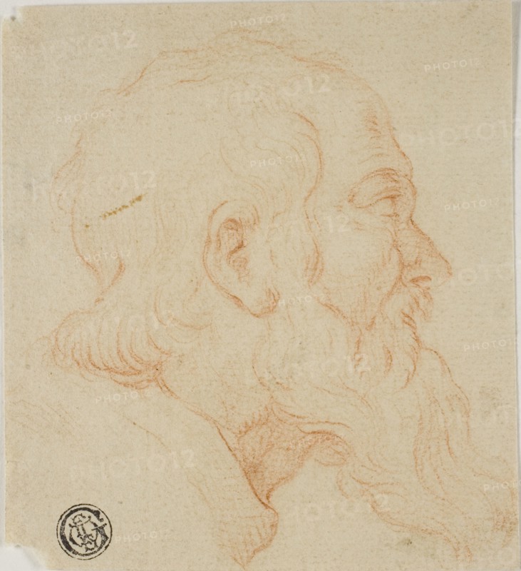 Head of Old Man in Profile to Right, n.d., Possibly Follower of Simone Cantarini (Italian, 1612-1648), or Style of Domenico Cresti (Italian, 1559-1638), Italy, Red chalk, on cream laid paper, 105 x 95 mm